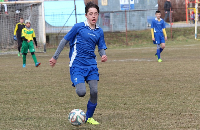 入体育领域 入体育领域