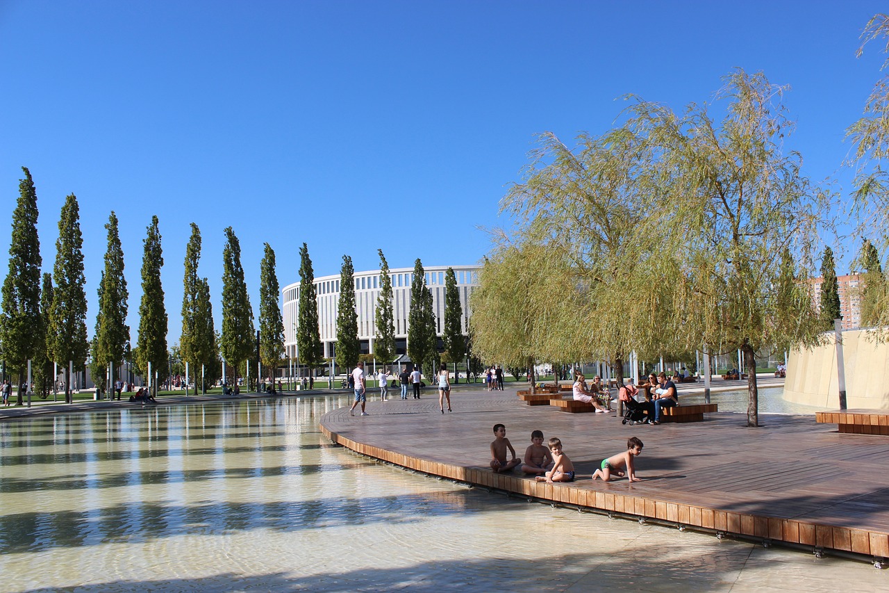 阵容上进行 阵容上进行