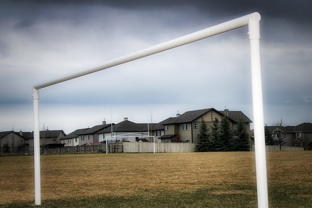 他已返回广 他已返回广