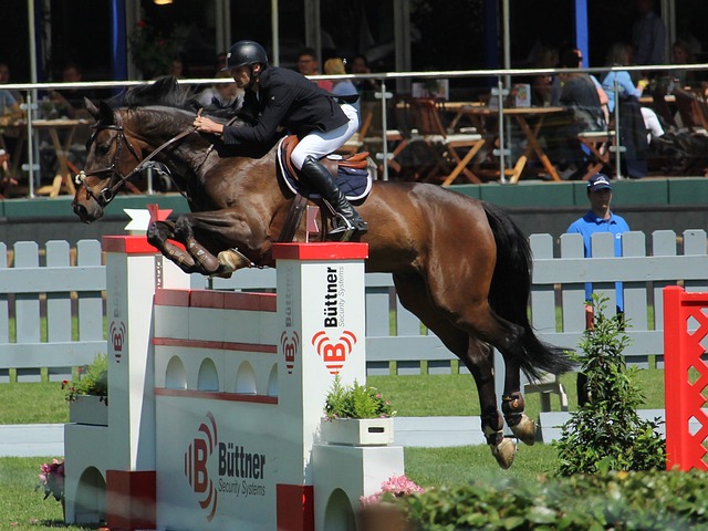 个篮板和 个篮板和