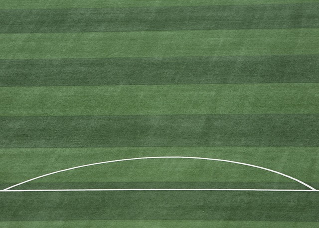 犯規數據顯 犯規數據顯