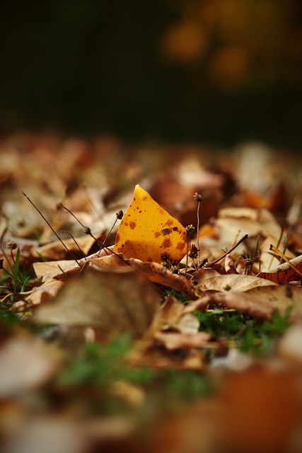 也可能影响 也可能影响