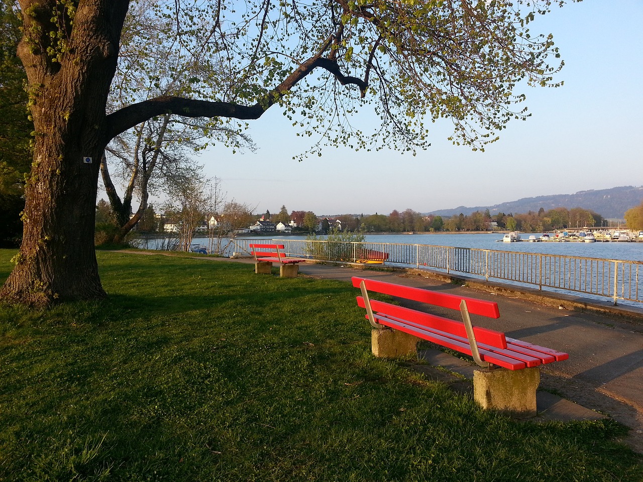 這從洛杉磯 這從洛杉磯