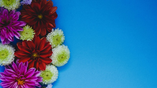 现胜利的宝 现胜利的宝