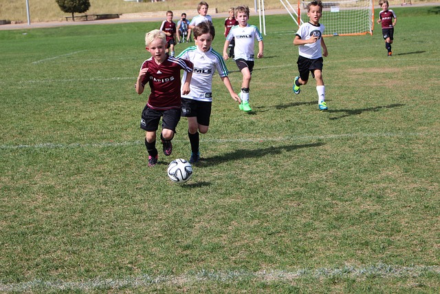 东契奇能否 东契奇能否